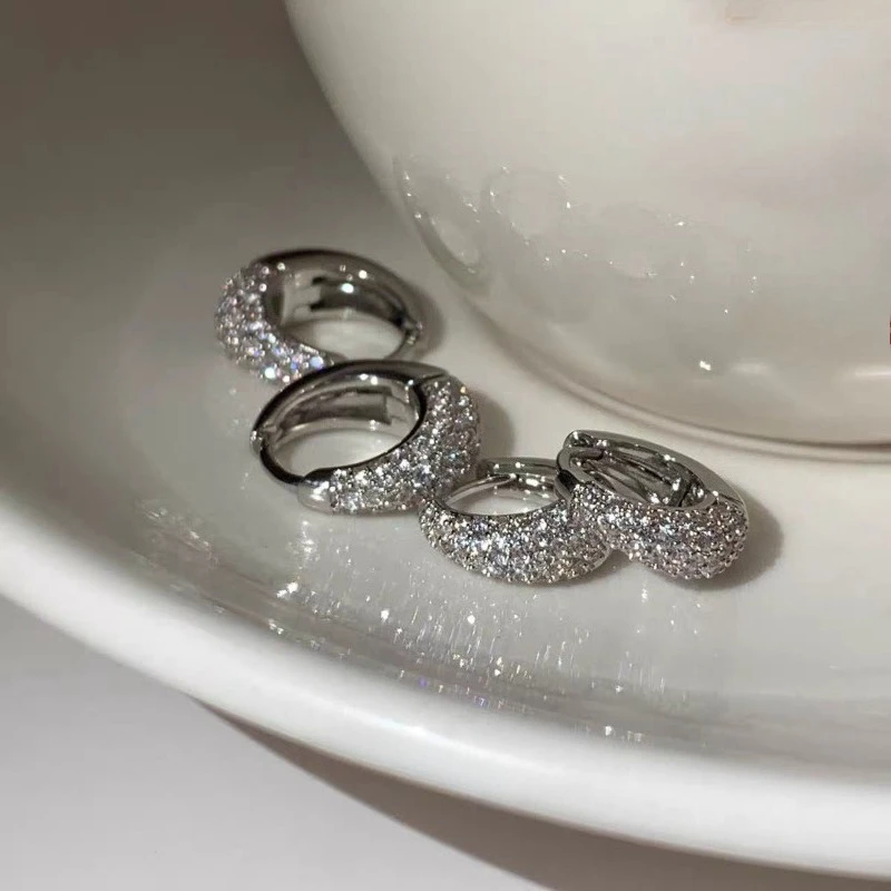 925 Silver Exquisite Zircon Earrings 2026 New Style Fashionable Elegant High End Design Luxurious Earrings for Women - 3
