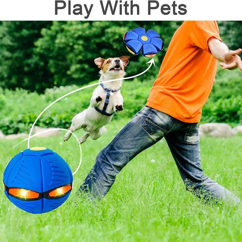 https://ae01.alicdn.com/kf/S15cc92df5c2a4e98bd86a5bf5503f4b1O/Pet-Dog-Toys-Flying-UFO-Deformable-Saucer-Ball-Interactive-Outdoor-Sports-Dogs-Training-Toy-Flat-Throw.jpg