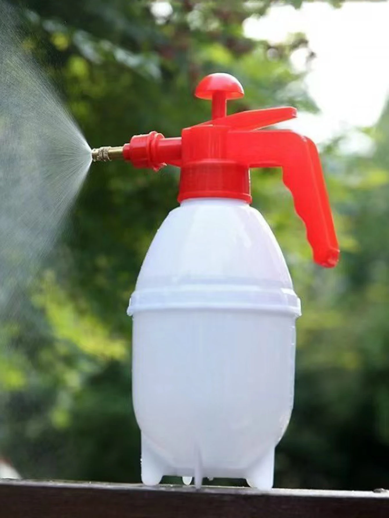 Shop1102998996 Store