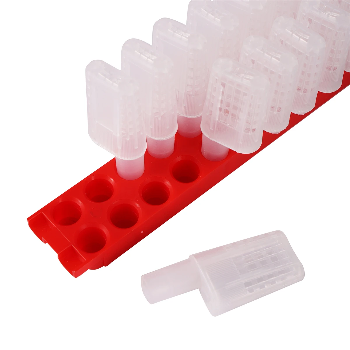 1 Set Queen Cell Cage with Transport Box Kit Beekeeping Supplies