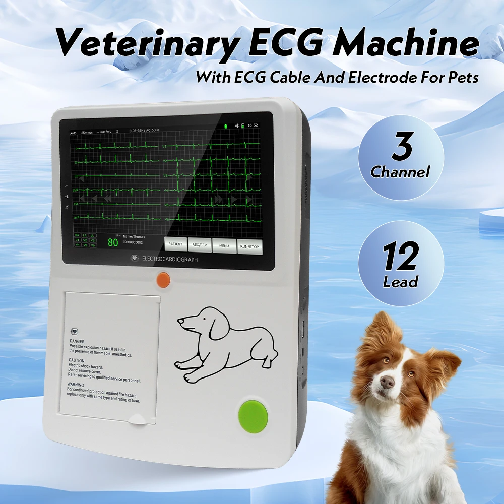 ECG Machine 3 Channel 12 Lead 7"Touch Screen Veterinary Vet Electrocardiograph For Pets with Thermal printer