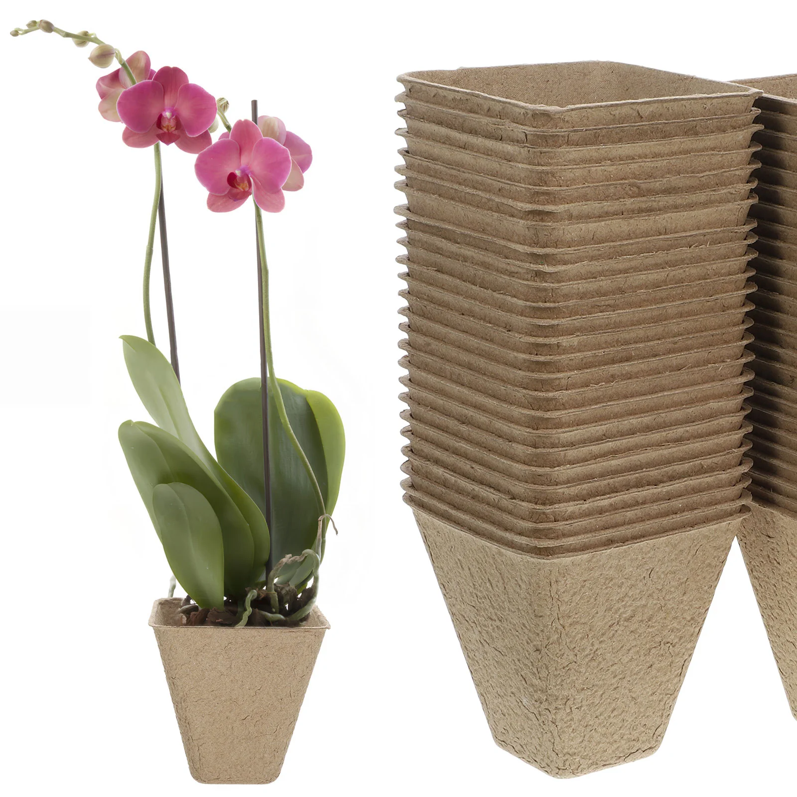 

Succulents Portable Gardening Pot Set Flower Pots Seed Paper with Drainage Holes