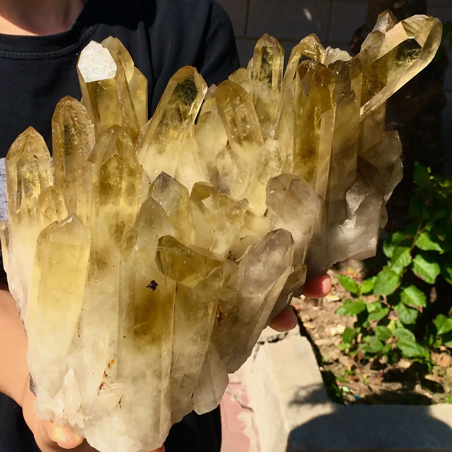 

Natural Light color Yellow Crystal Cluster Quartz Mineral Specimen Reiki Healing Home Office Decoration Energy Meditation Gem