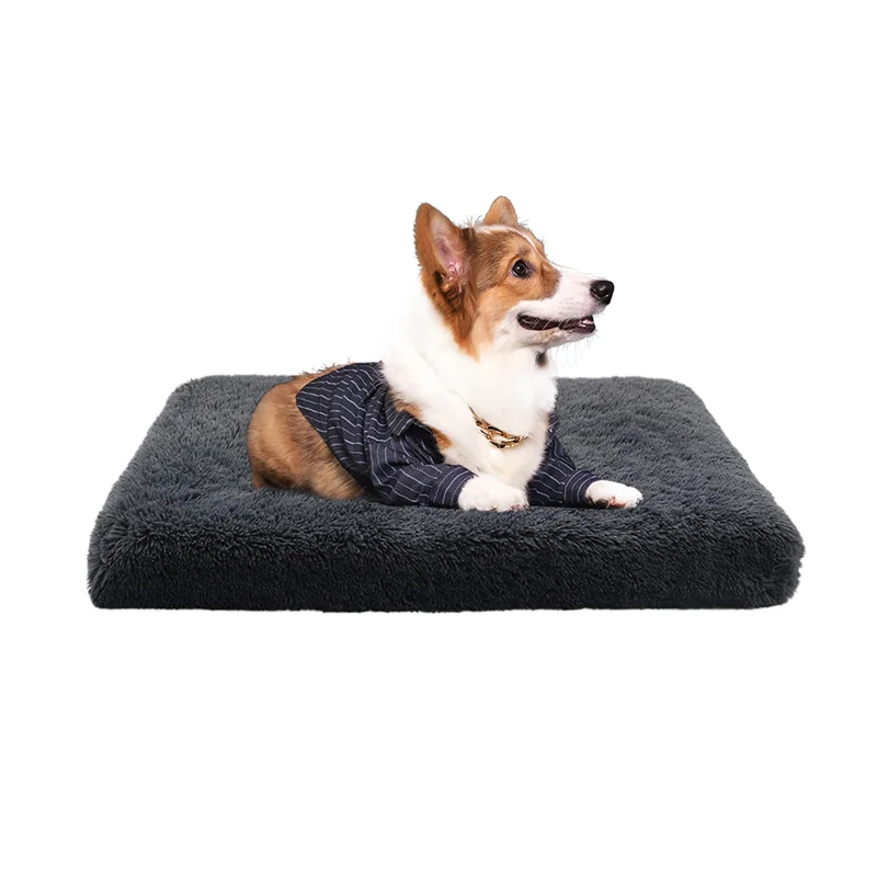 dog cot bed