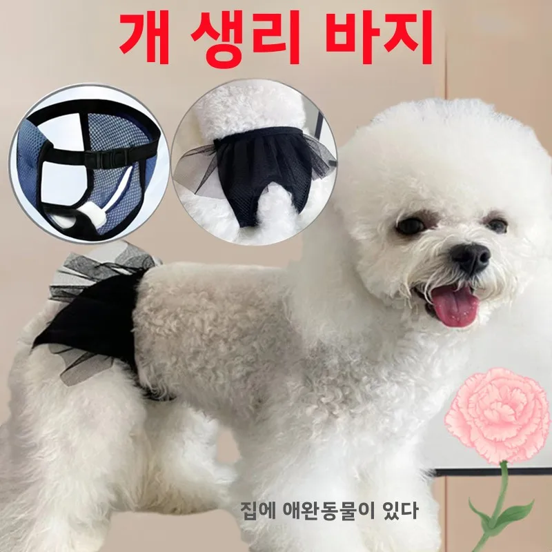 안전 팬티 안전한 여성 팬티 여성용 여성의 날 팬티 여성 팬티 여성용 여성의 날 여성 팬티 여성용 여성 팬티 여성의 날 여성 팬티