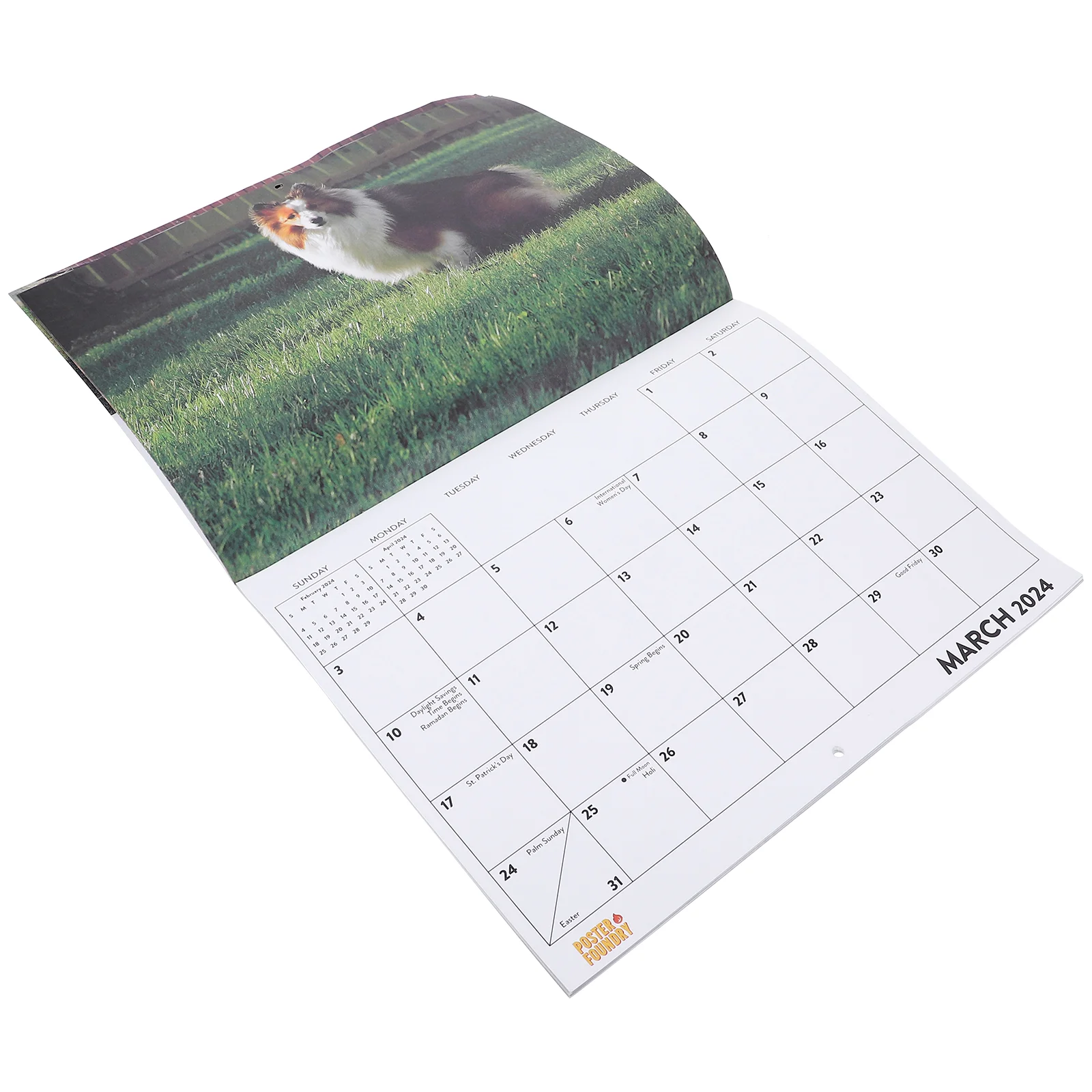 

Wall Calendar Animal Pattern Calendar Decorative Calendar 2024 Wall Calendar Pendant for Home