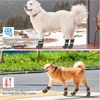 Anti-Slip Big Dog Socks to Prevent Licking Paws for Hardwood Floors Paw Protectors Traction Control for Large Dogs Indoor 2