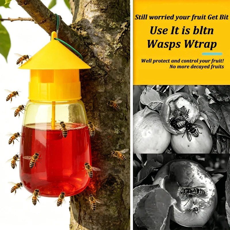 All-Natural Outdoor Insect Trap with Attractant for Effective Pest Control