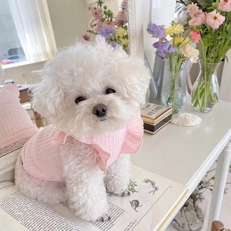 Dog Clothes Dog Vest Cute Bow Teddy Puppy Pullover Summer Breathable Two-Legged Solid Color