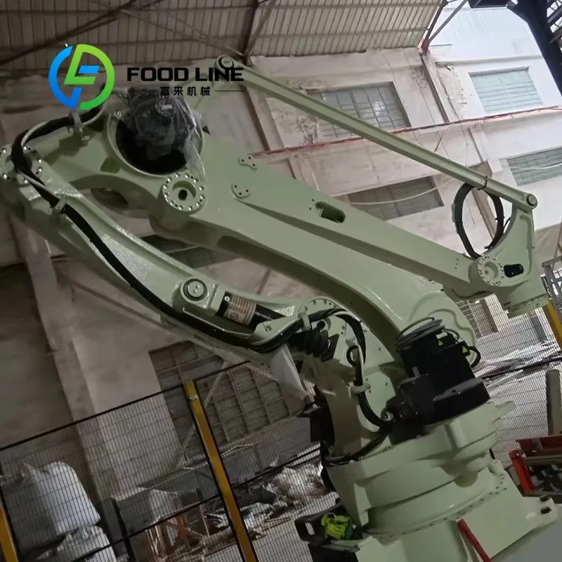 10kg 15kg 20kg 25kg 30kg 50kg Robot industriale Cobot Palletizer Macchina automatica per palletizzazione robot - immagine 5