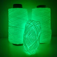 2023 Novel Functional Yarn Glow In The Dark Polyester Luminous Chunky Yarn 2mm for Hand Knitting Carpet Sweater Hat Wool Yarn 3