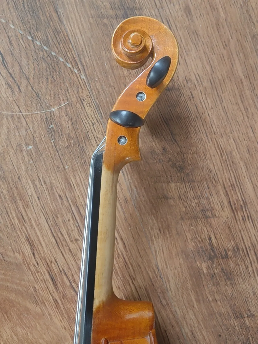 1/2 size Violin for Kid One Piece Back Strad Model Warm Balance Tone