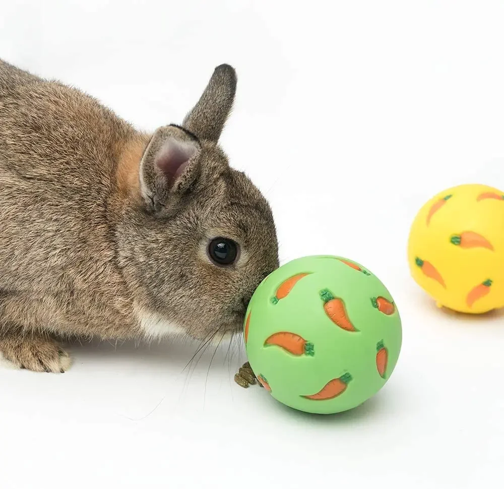 Rabbit Treat Ball Feeder 1