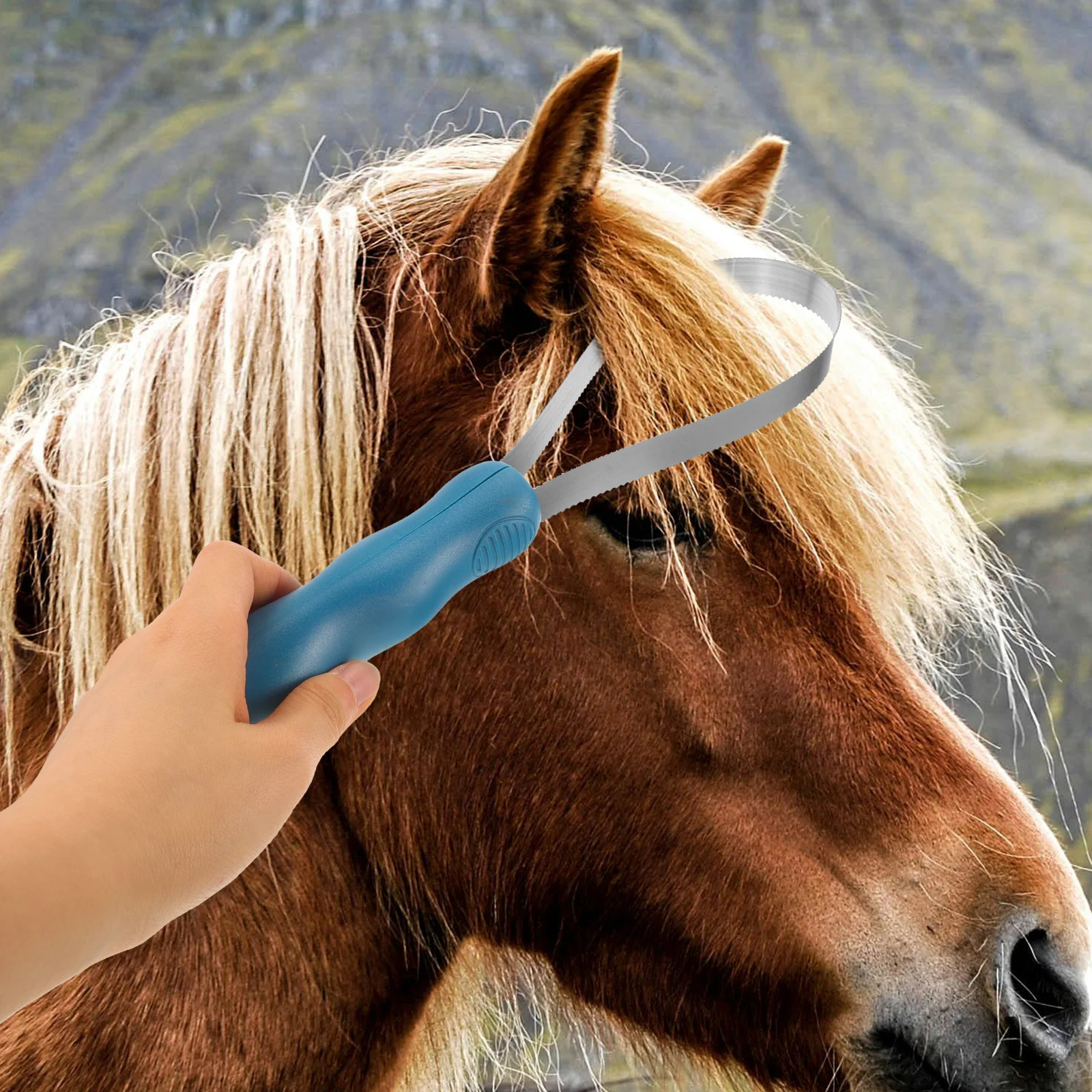 How To Choose The Best Horse Shedding Tool - Horses & Foals - View #3