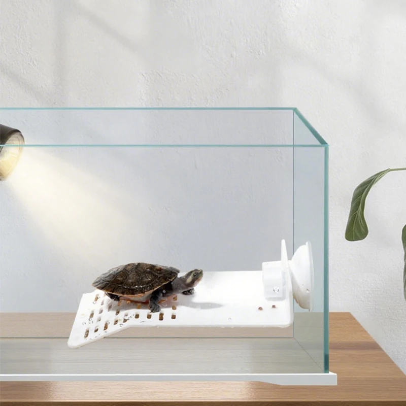 Turtle Drying Platform 6