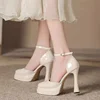 Women's Sexy Super High Heels Pointed Tip Thick Heel Ankle Strap Platform Heels Side Cutout Wedding Banquet Sandalias De Mujer 2