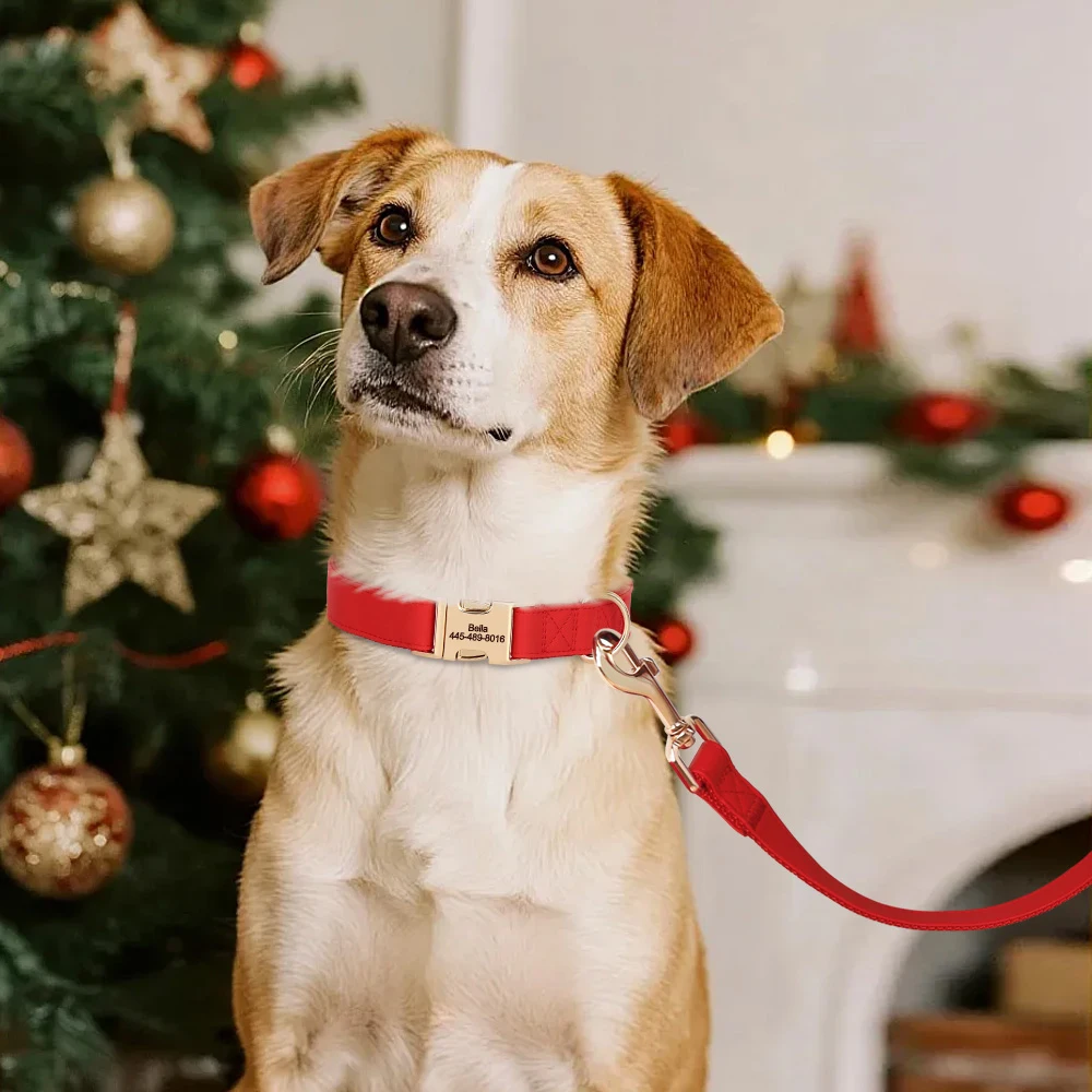 Engraved Leather Dog Collar And Leash Set For Small Medium Large Dogs_voghion.com
