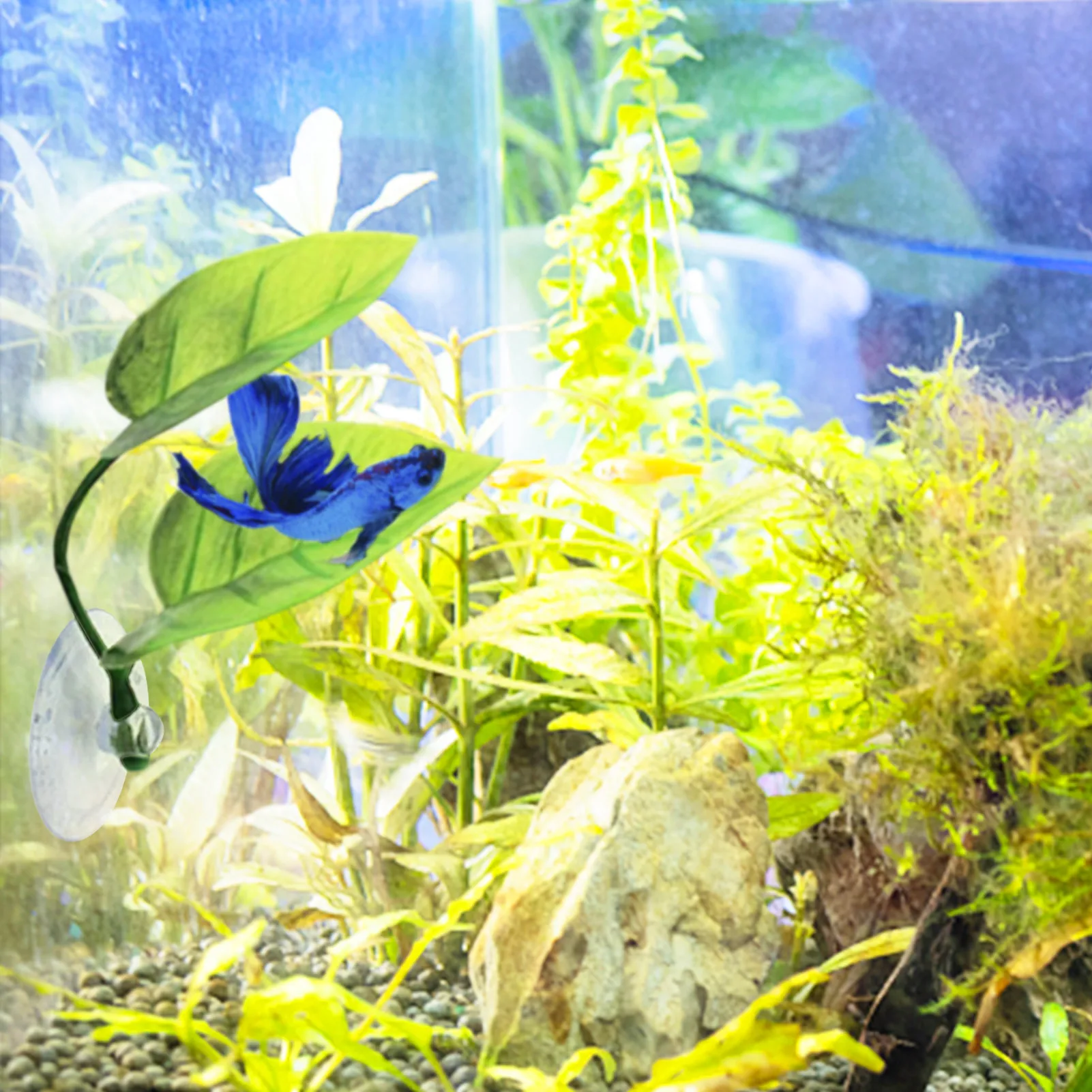 Betta almofada de folha de peixe aquário suprimentos para animais de estimação decoração simulação água grama tanque de peixes paisagismo simulação artificial