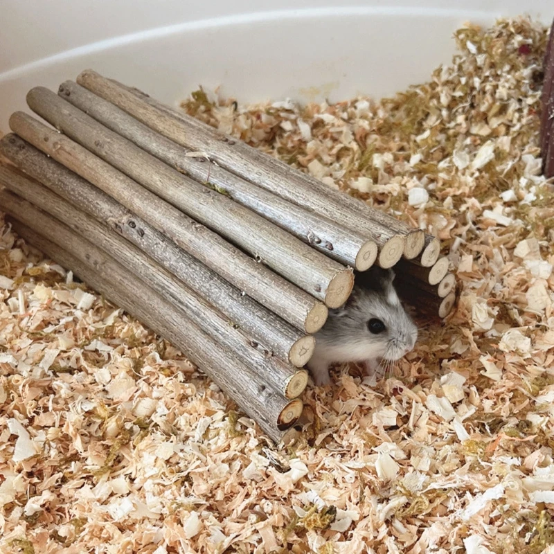 ܽ 콺  ׼   ͳο  Gerbil ͳ  ٸ ó ͳ
