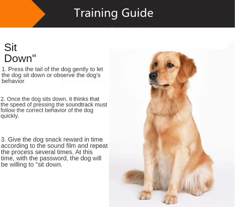 Dog Cat Pet  Training Clicker With Wrist Strap Training Supplies For Dogs Cats Pet Training Clicker Dog Supplies Dog Trainings