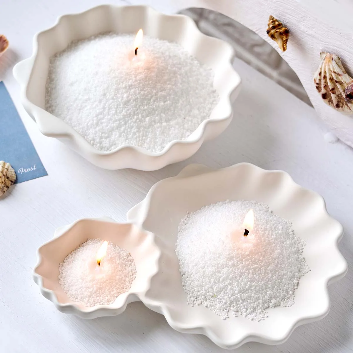 Shell Candle Tray Silicone Mold DIY Succulent Flowerpot Jewelry Storage Dish