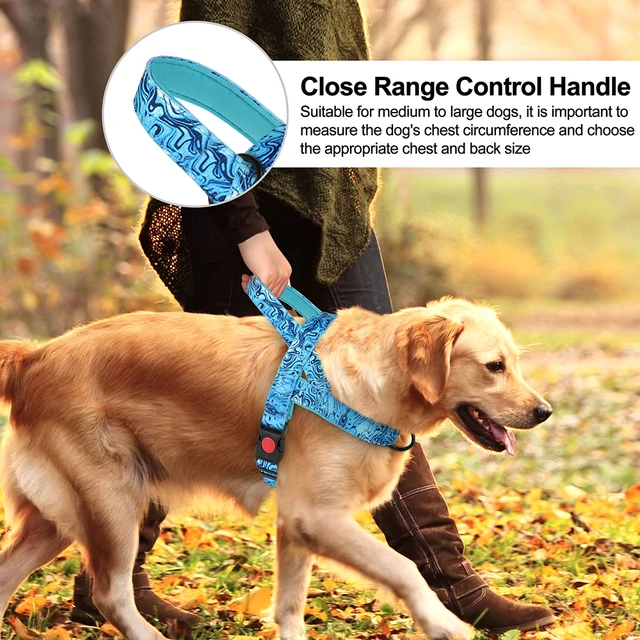 Nylon Dog Harness No Pull Strong Dog Harnesses Adjustable Pet Walking Training Vest For Small Medium Large Dogs Pitbull Bulldog 3