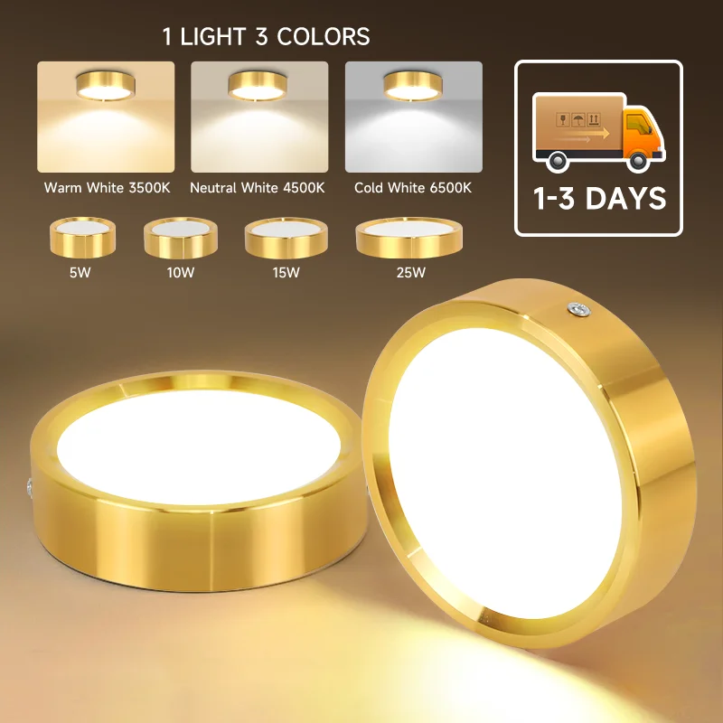 Tricolor LED Downlight 5W 10W 15W 25W Down Lamp Celing Light Round LED Spotlight 220V Panel Lights Indoor Lighting for Entrance