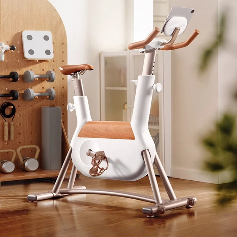 Spontaneous electric bike, home fitness bike, professional weight loss exercise equipment for girls R6
