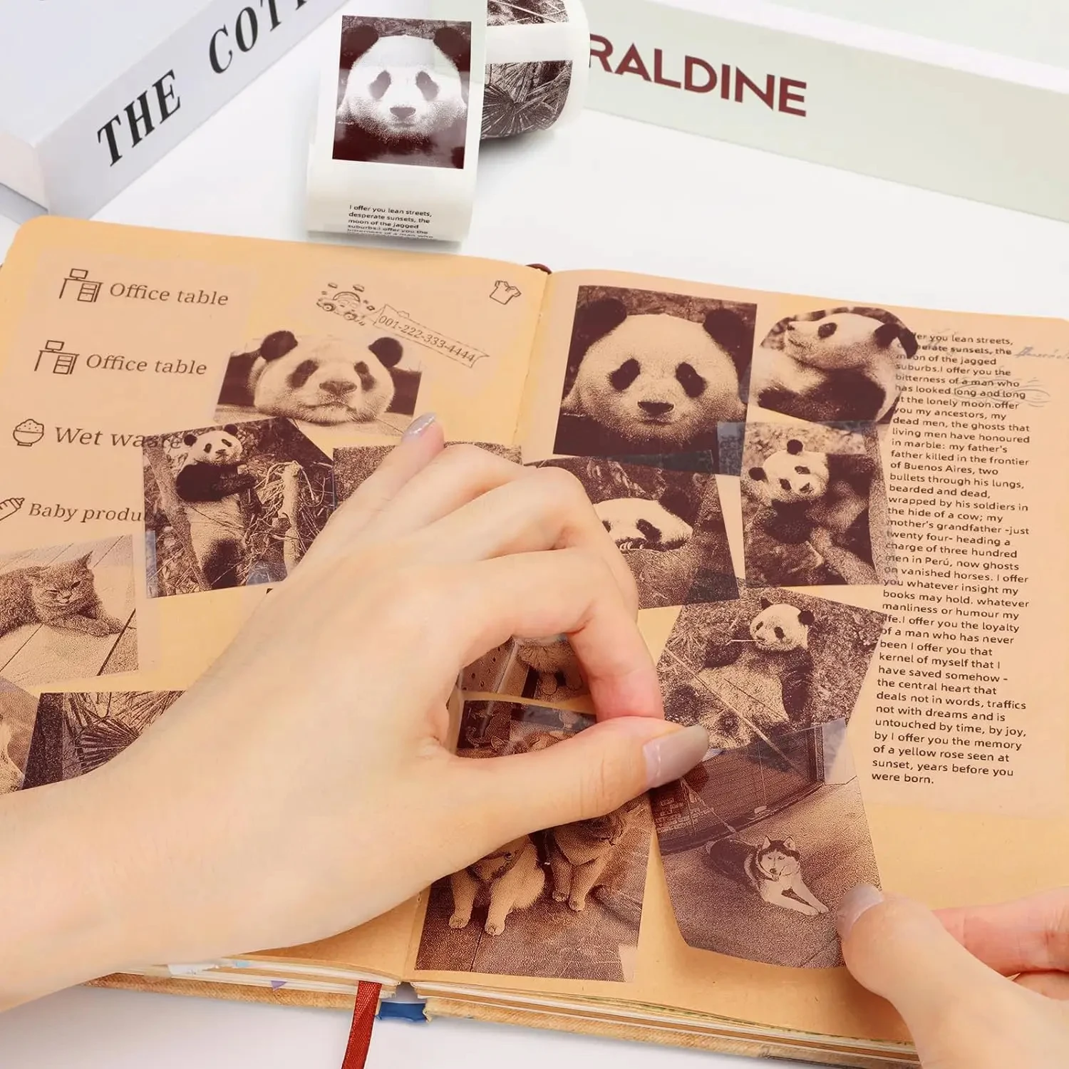 Slide image 0689b414ff0348e3ab4f20c86d387637