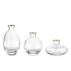 Set of 3 Elegant Transparent Glass Hydroponic Vessels for Stylish Flower Arrangements (Transparent)
