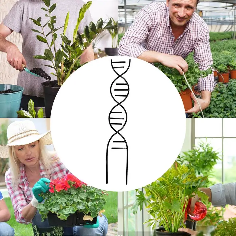 Plant Support Stakes Trellis For Indoor Potted Plants DIY Climbing Trellis Patio Plant Support For Climbing Plants Houseplants
