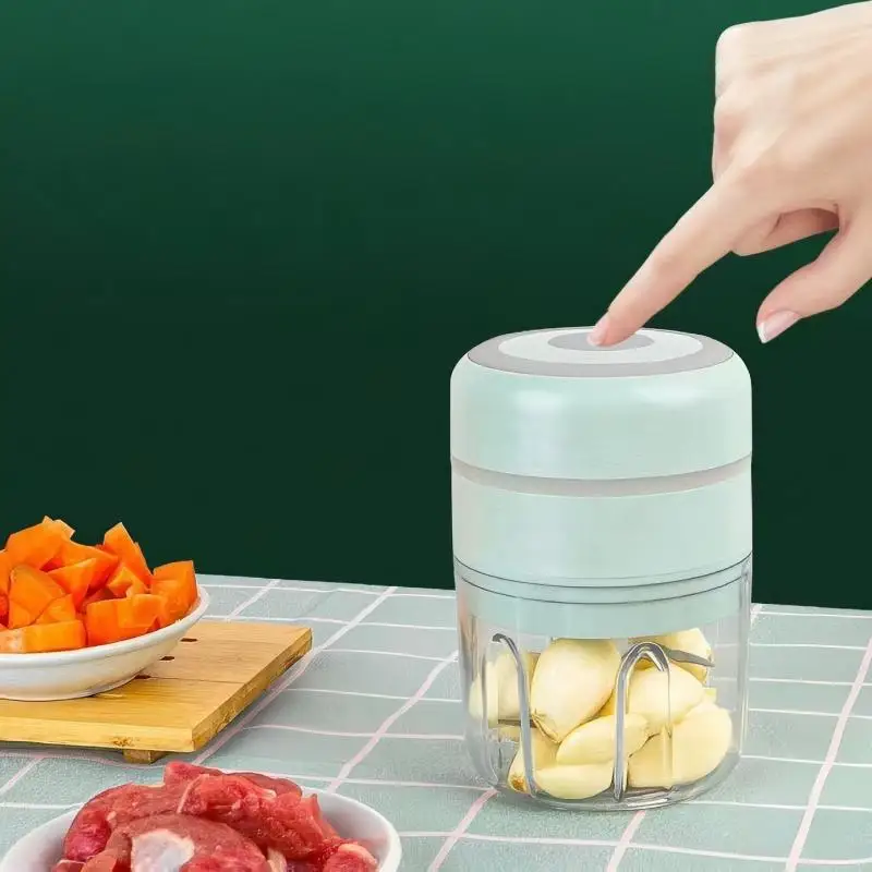 HOMEFISH USB Electric Garlic Chopper For Home Use