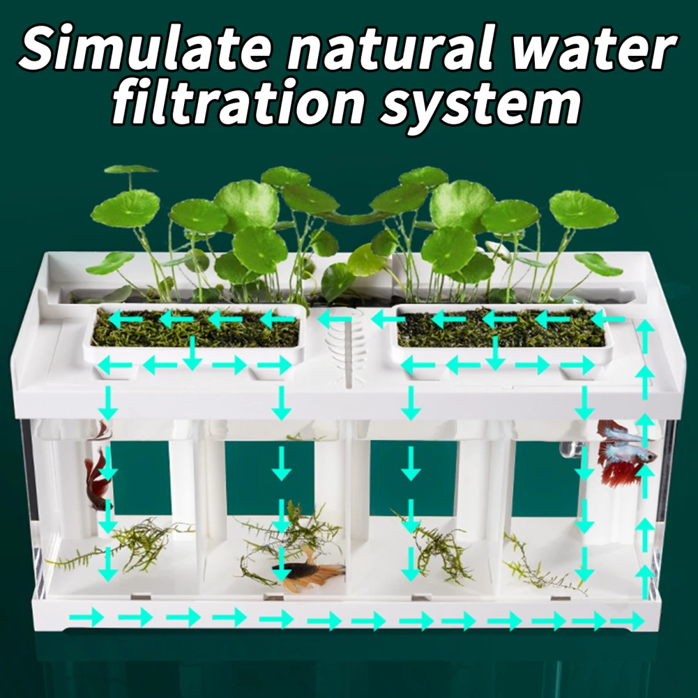 Title 6, Mini Aquarium With Filter LED Light Fish Tank S...