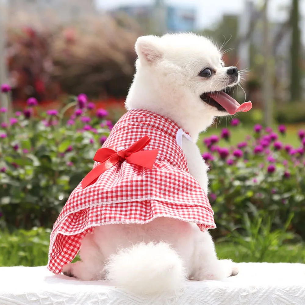fitted lace wedding dress China Poblana Dog girl dress main image 1