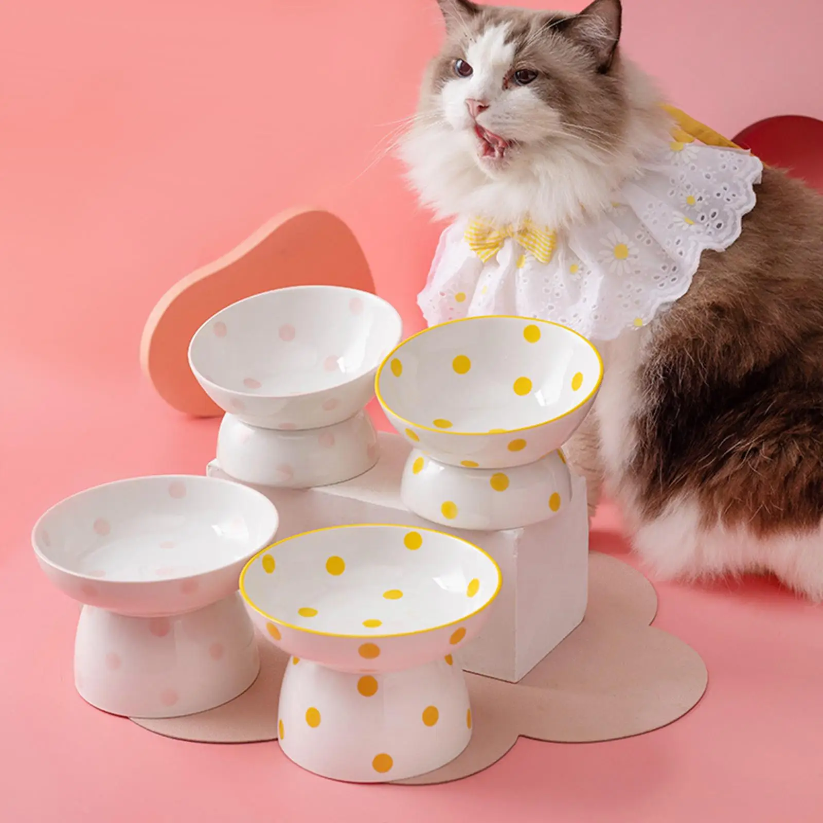 Ceramic Elevated Cat Feeder Bowl Slant Porcelain Pet Cat Dish Shallow Bowls Snack Bowl