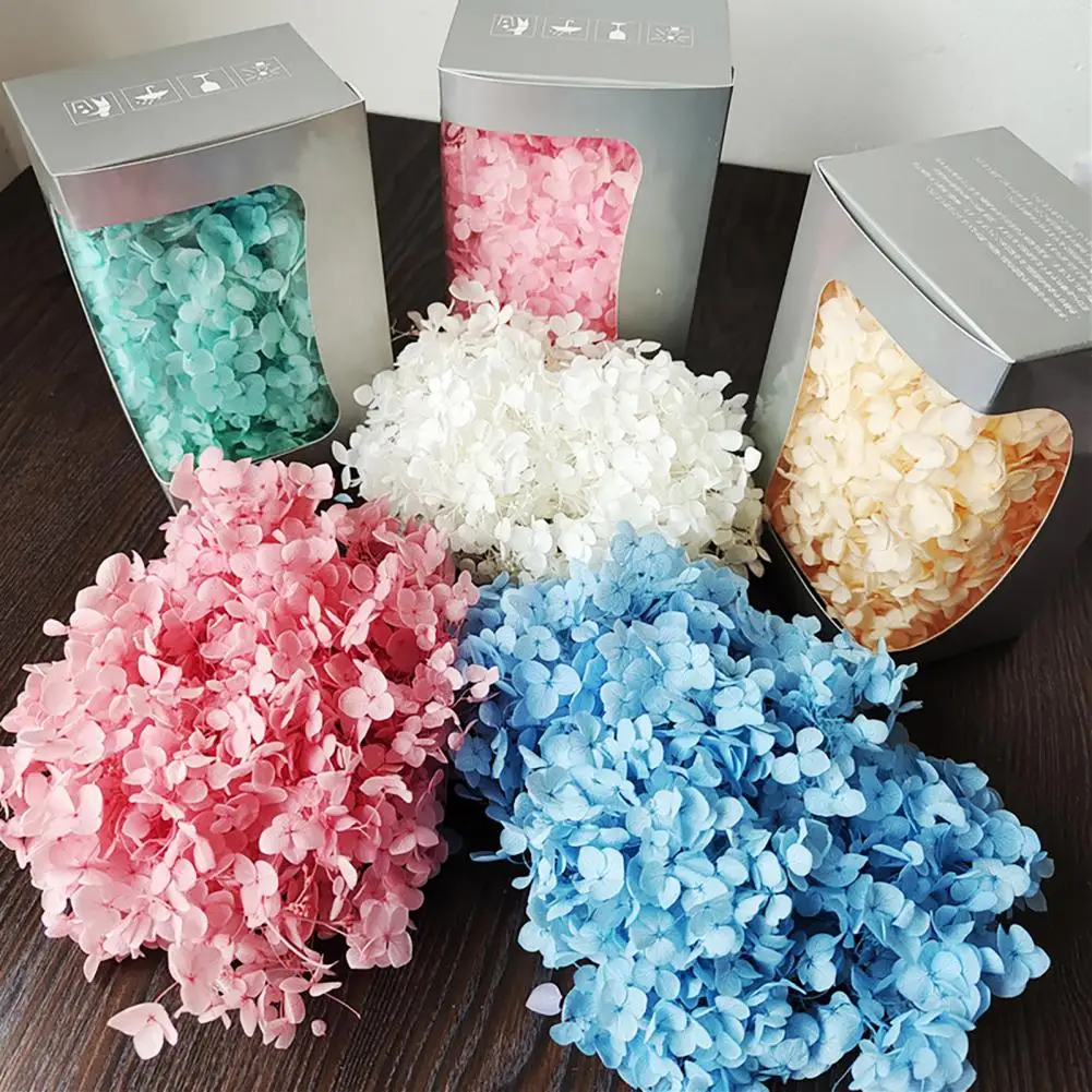 

1 Box Natural Fresh Preserved Flowers Wedding Favors Dried Small Leaves Hydrangea Flower Heads Wedding Favors