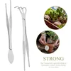 1pc 2-in-1 Stainless Steel Root Rake with Bonsai Tweezers with Ergonomical Handle Soil Farming Tool for Succulents Crafting 3