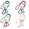 Adjustable Color Blocking Design Dog Harnesses Waterproof  PVC Walking Leash Rope Chest And Back Set For Dog Outdoor Training