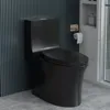 One Piece Toilet,  Dual Flush Toilet with 15.1"W Soft-Close Seat,17" Comfort Height Seat,Standard Elongated Toilet for Bathrooms 1