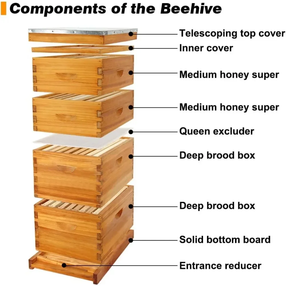 8-Frame Bee Hives Starter Kit with 2 Deep Bee Boxes 2 Medium Hive Boxes with Beehive Frames and Beeswax Coated Sheet