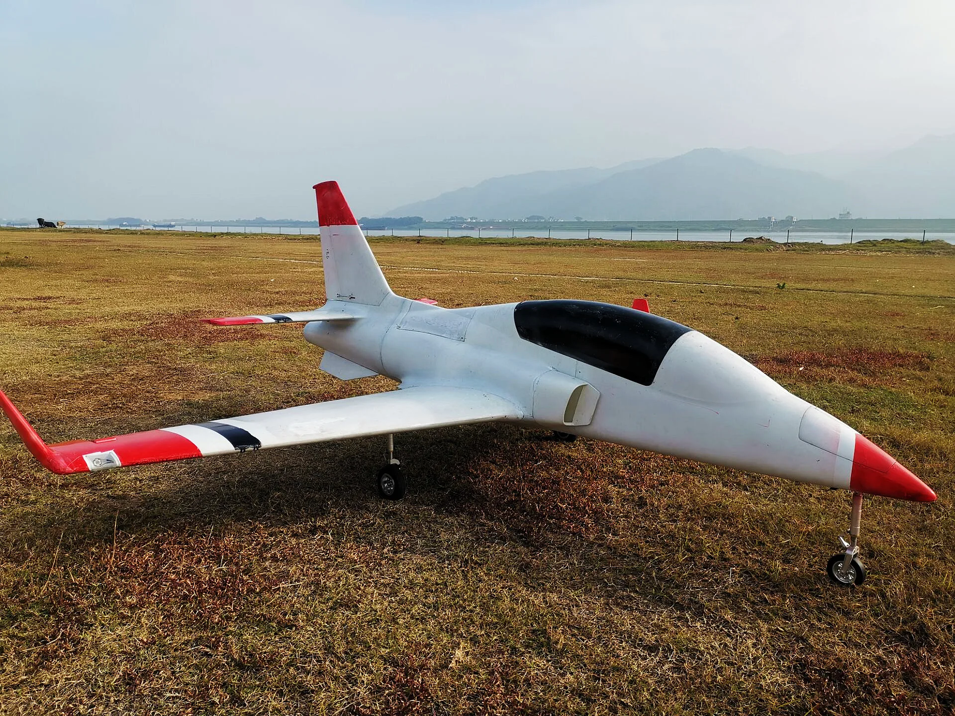 Rc Avião Avião Turbina Jet Viper 3.5m Wingspan Apto Para 26kg Motor De  Turbina - Aviões De Controle Remoto - AliExpress