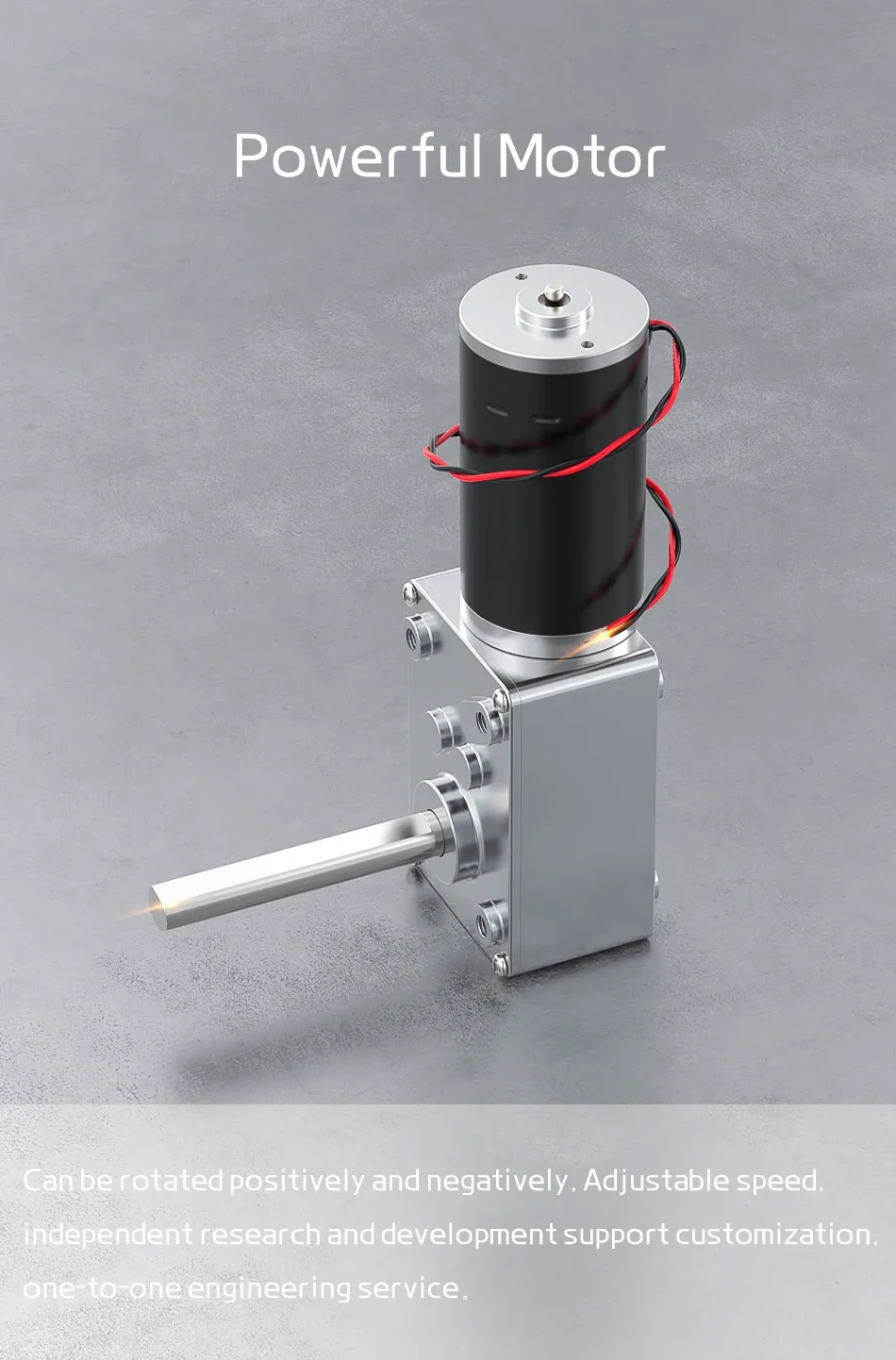 5840-31ZY Worm Gear Motor - High Torque 70KG, 12V/24V DC 12V Single 260RPM  5840-31ZY- 12V Single 10RPM 5840-31ZY-M8 Brushed electronic starter High Torq