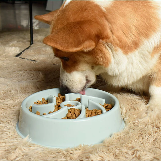 Pet Dog Feeding Food Bowls Puppy Slow Eating  Slow Feeder Dog Bowl Flat  Faced Dogs - Dog Feeders - Aliexpress