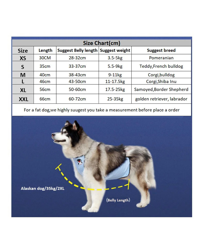 Alaskan Malamute Size Chart