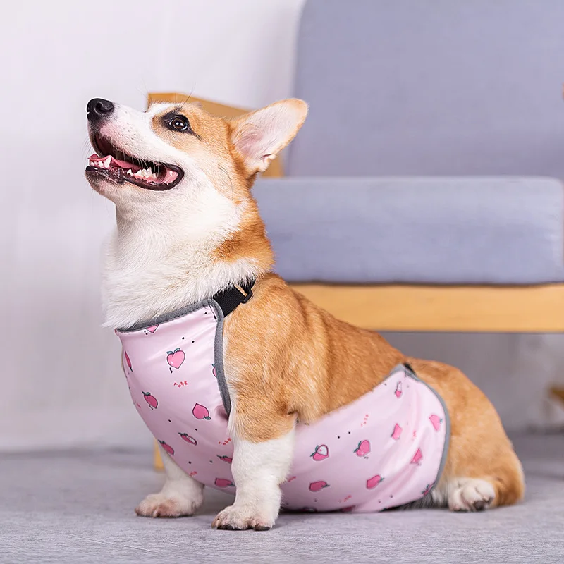 Dog clothes for Korji dog