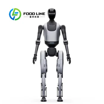 Robot Umanoide per Logistica: Trasferisce Piccoli Pacchi, Classifica Merci e Pattella le Aree di Stoccaggio in E-commerce di Medie Dimensioni