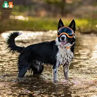 Dog Goggles Dog Sunglasses Glasses for Dogs Dog Ski Goggles with UV Protection Pet Sunglasses with Adjustable Strap for Travel 5