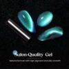MIZHSE 10ML 9D Cat Eye Gel Nail Polish Magnet Soak Off UV LED Nail Gel For Nail Arts Semi Permanent Magnetic Powder Varnish 5