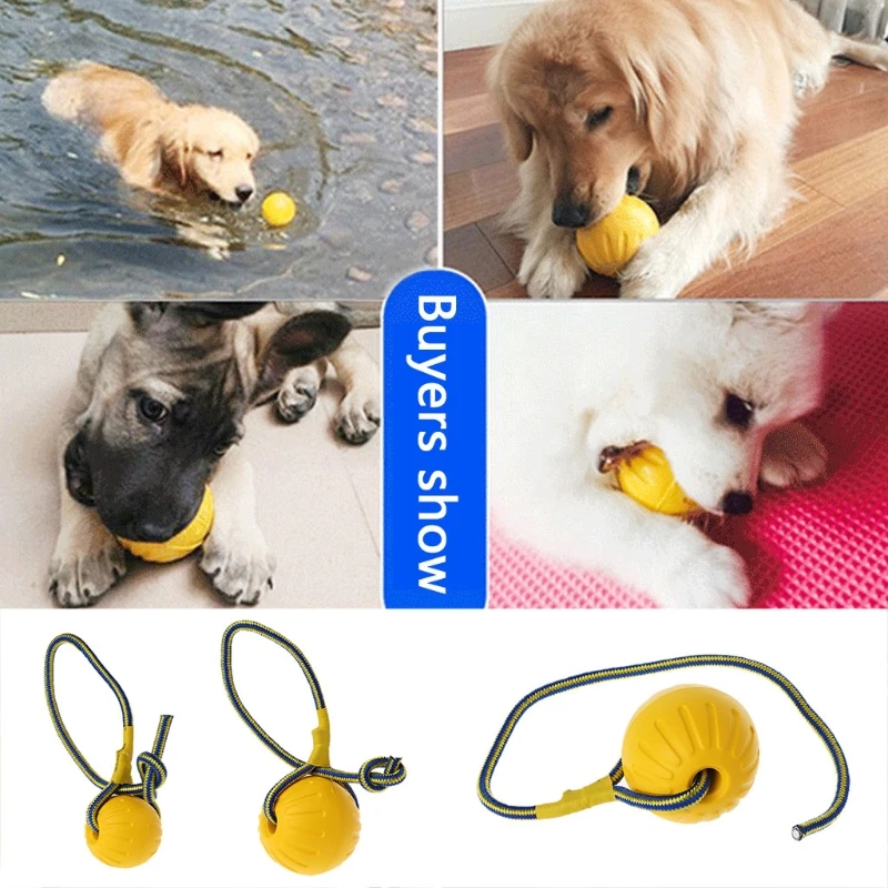 New Pet Dog Training Toy Ball Dog Rubber Ball Chew Bite Resistant Toy With Rope 2