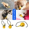 New Pet Dog Training Toy Ball Dog Rubber Ball Chew Bite Resistant Toy With Rope 2